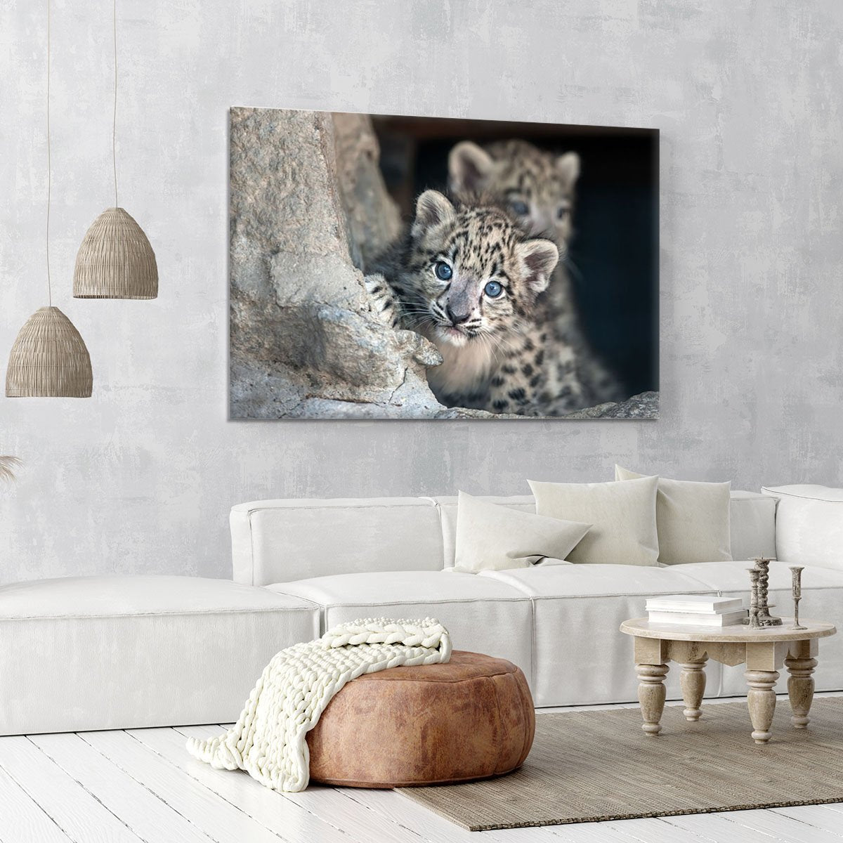 Snow leopard baby portrait Canvas Print or Poster