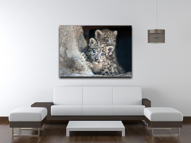 Snow leopard baby portrait Canvas Print or Poster - Canvas Art Rocks - 4