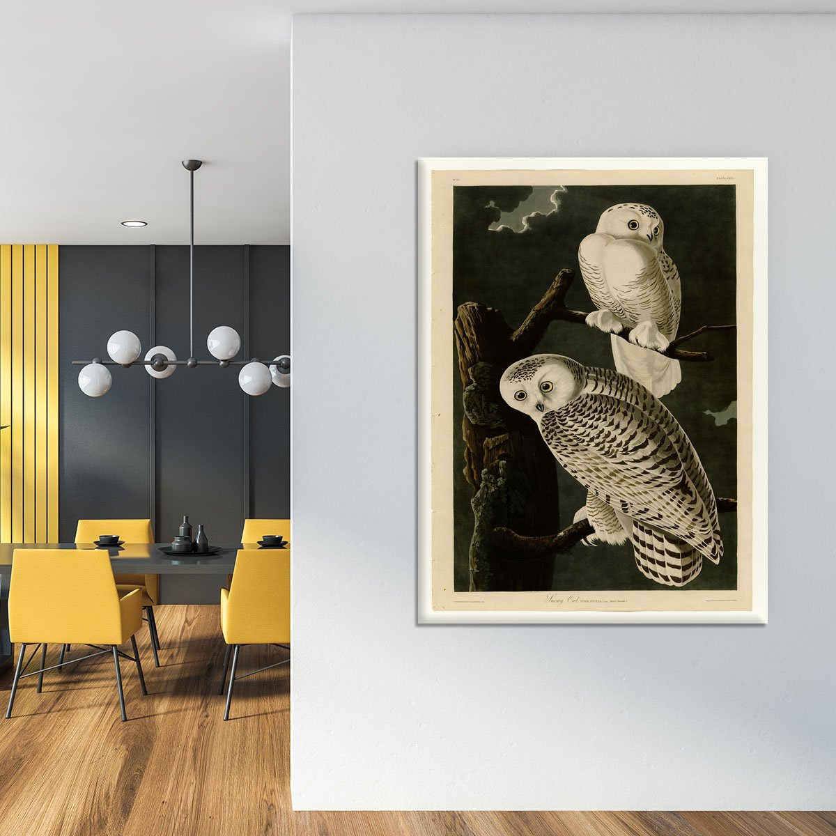 Snowy Owl by Audubon Canvas Print or Poster