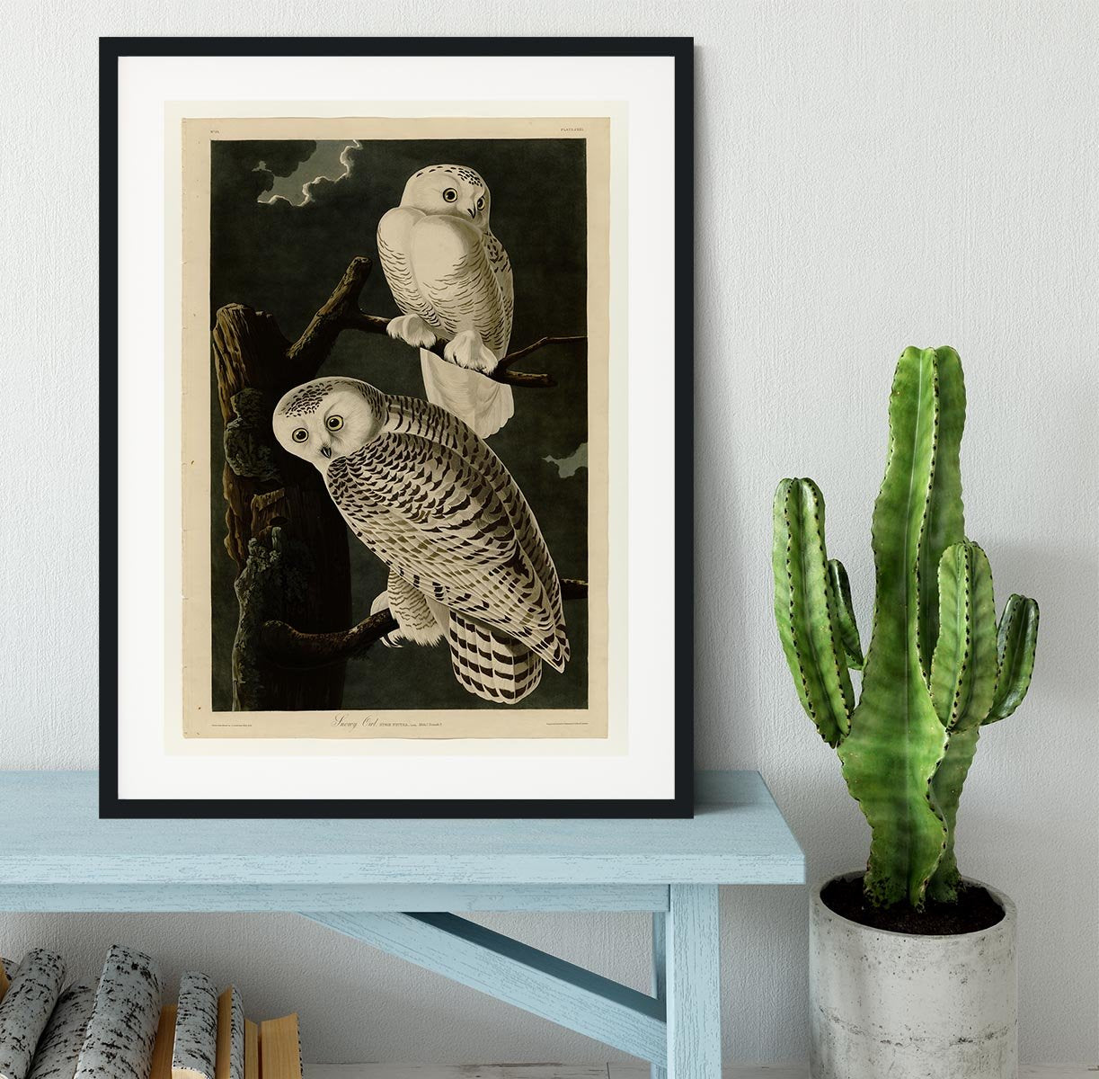Snowy Owl by Audubon Framed Print - Canvas Art Rocks - 1