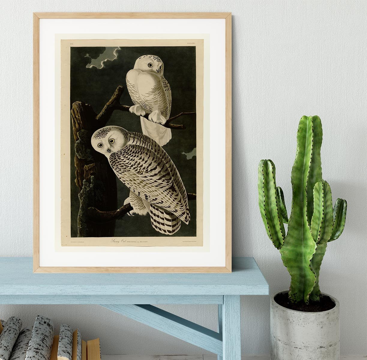 Snowy Owl by Audubon Framed Print - Canvas Art Rocks - 3