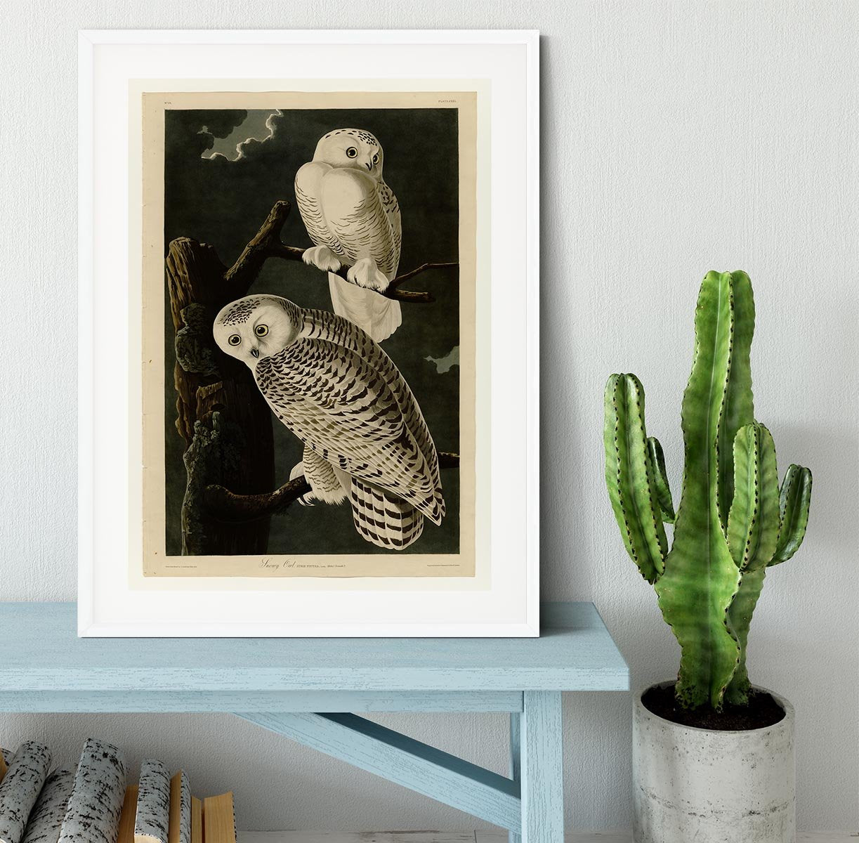 Snowy Owl by Audubon Framed Print - Canvas Art Rocks - 5