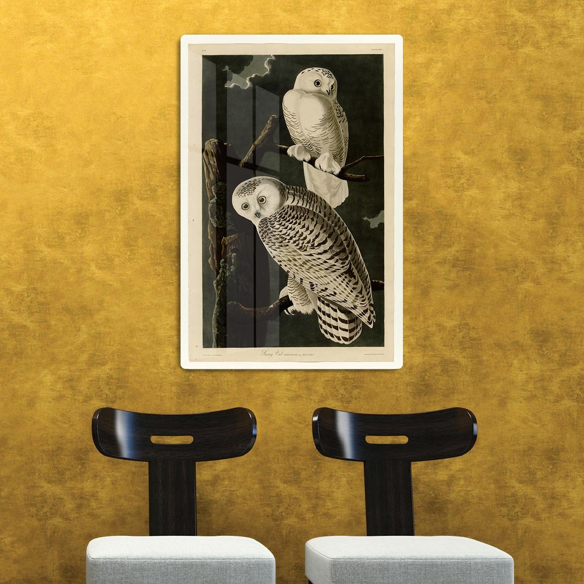 Snowy Owl by Audubon HD Metal Print - Canvas Art Rocks - 2