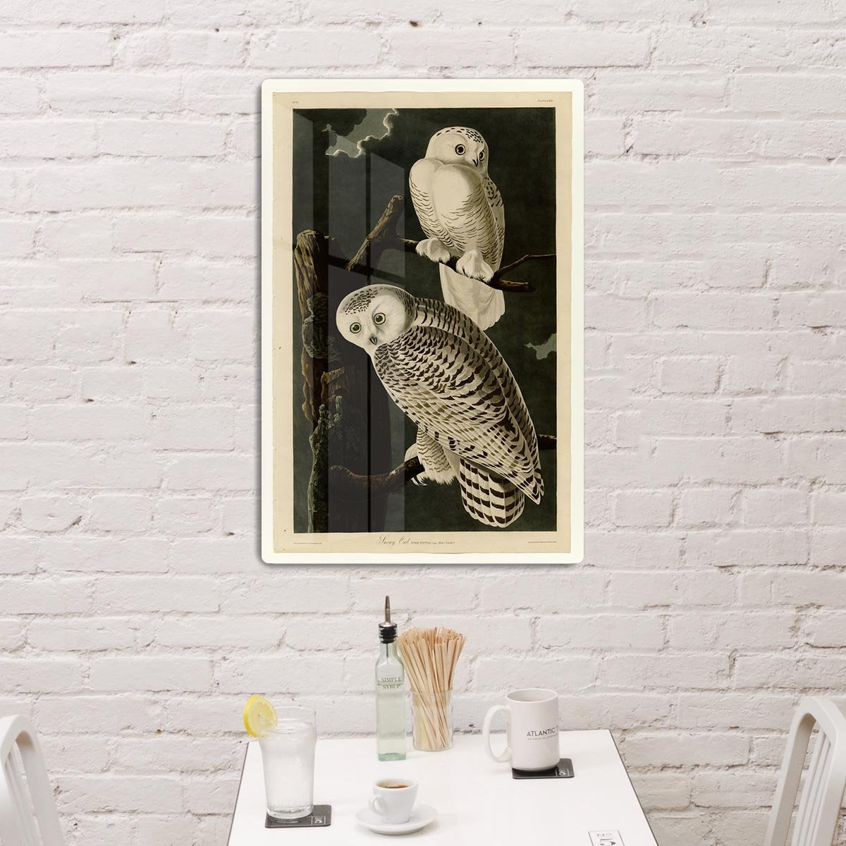 Snowy Owl by Audubon HD Metal Print - Canvas Art Rocks - 3