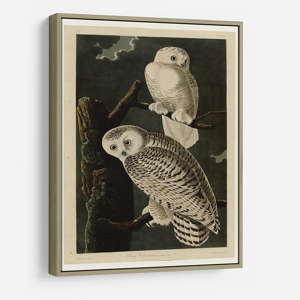 Snowy Owl by Audubon HD Metal Print - Canvas Art Rocks - 8