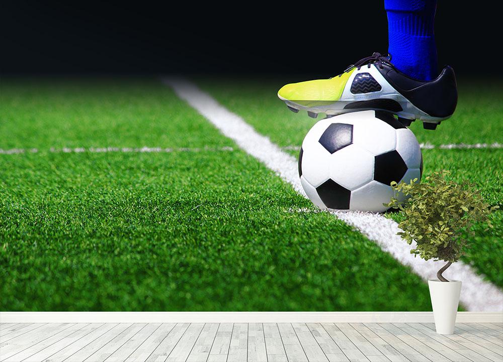 Soccer ball on field Wall Mural Wallpaper - Canvas Art Rocks - 4