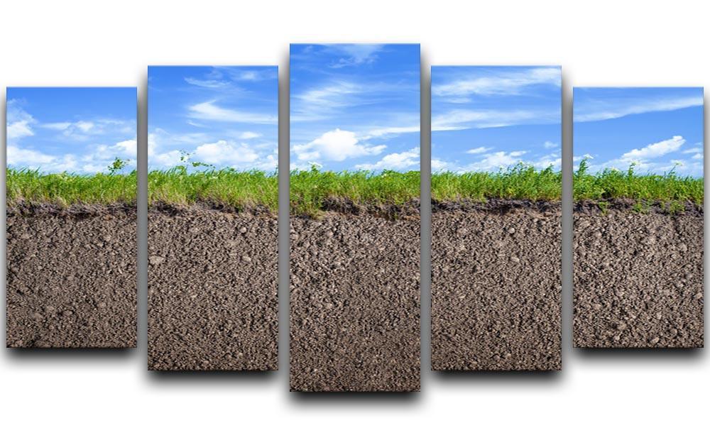 Soil ground 5 Split Panel Canvas  - Canvas Art Rocks - 1