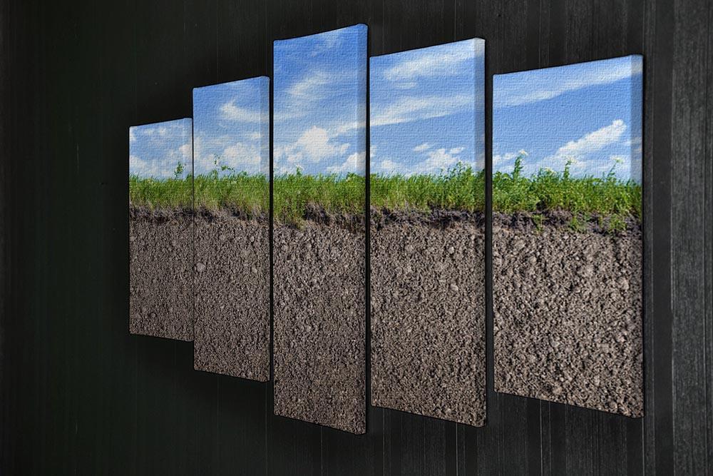 Soil ground 5 Split Panel Canvas  - Canvas Art Rocks - 2