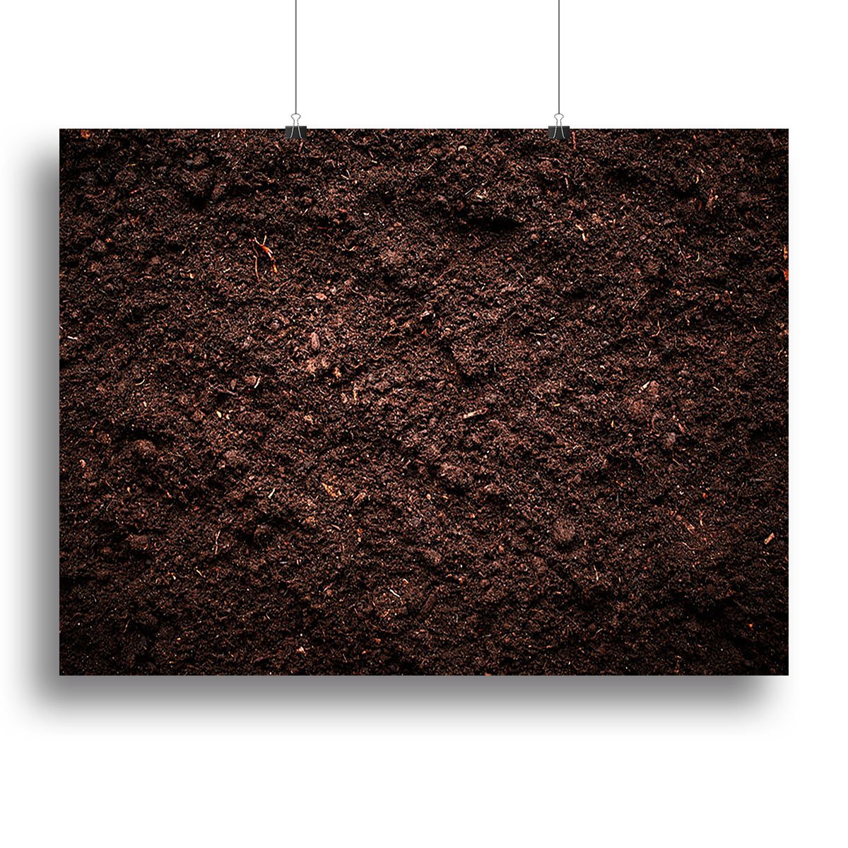 Soil texture Canvas Print or Poster