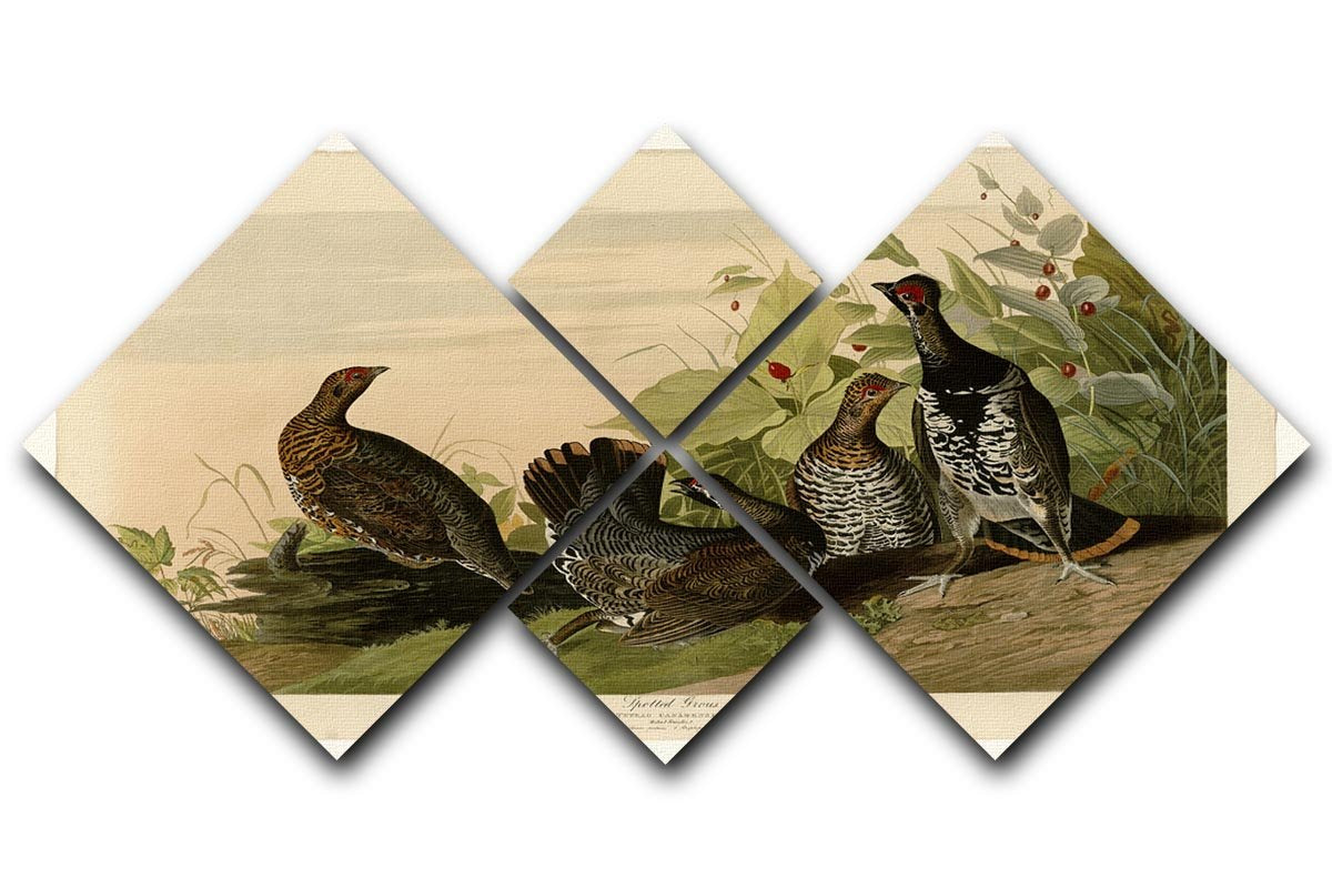 Spotted Grouse by Audubon 4 Square Multi Panel Canvas - Canvas Art Rocks - 1