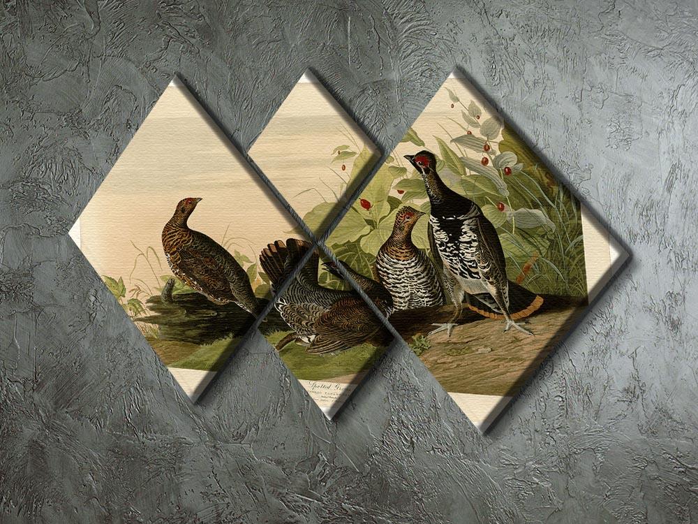 Spotted Grouse by Audubon 4 Square Multi Panel Canvas - Canvas Art Rocks - 2