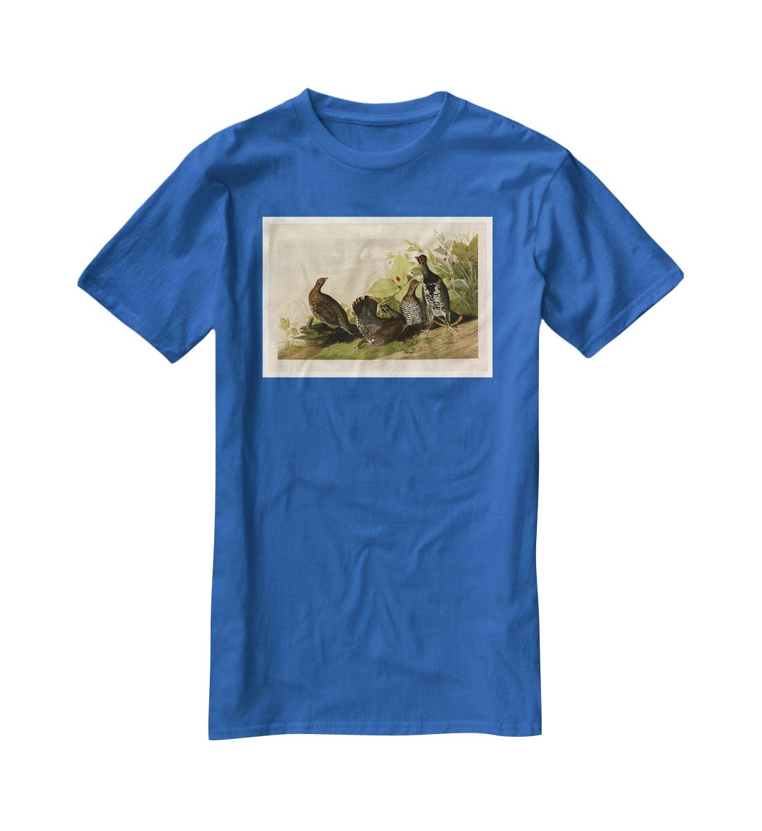 Spotted Grouse by Audubon T-Shirt - Canvas Art Rocks - 2