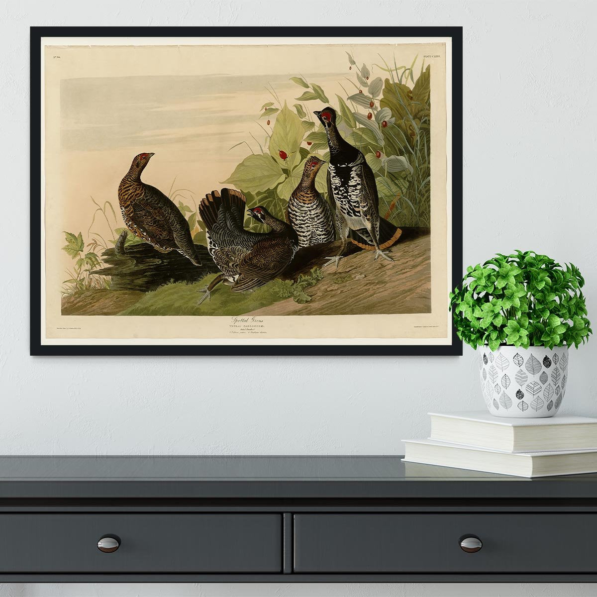 Spotted Grouse by Audubon Framed Print - Canvas Art Rocks - 2
