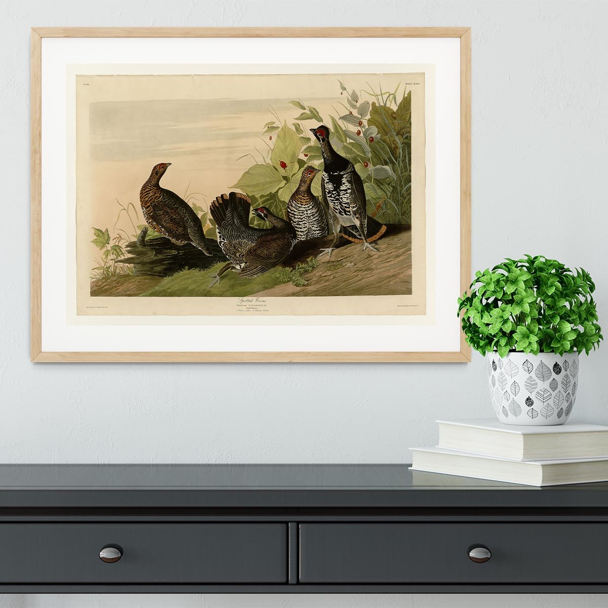 Spotted Grouse by Audubon Framed Print - Canvas Art Rocks - 3