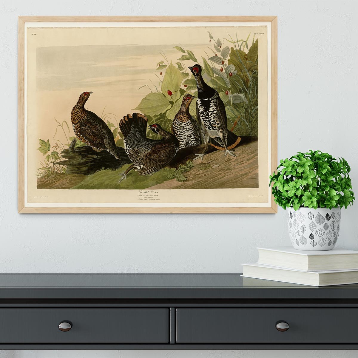 Spotted Grouse by Audubon Framed Print - Canvas Art Rocks - 4