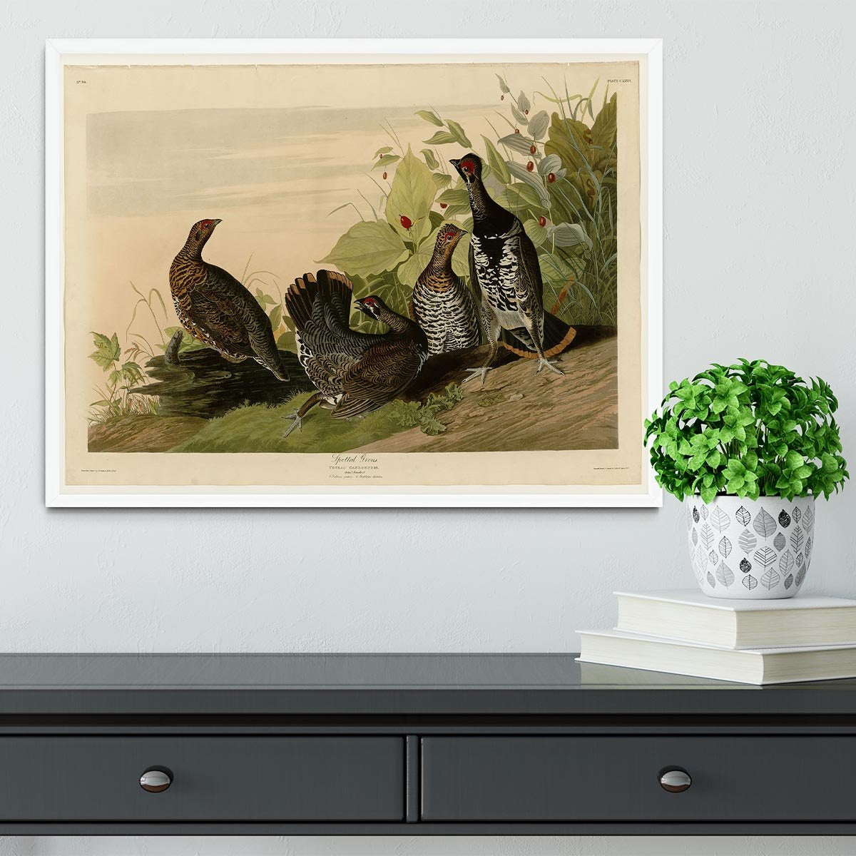 Spotted Grouse by Audubon Framed Print - Canvas Art Rocks -6
