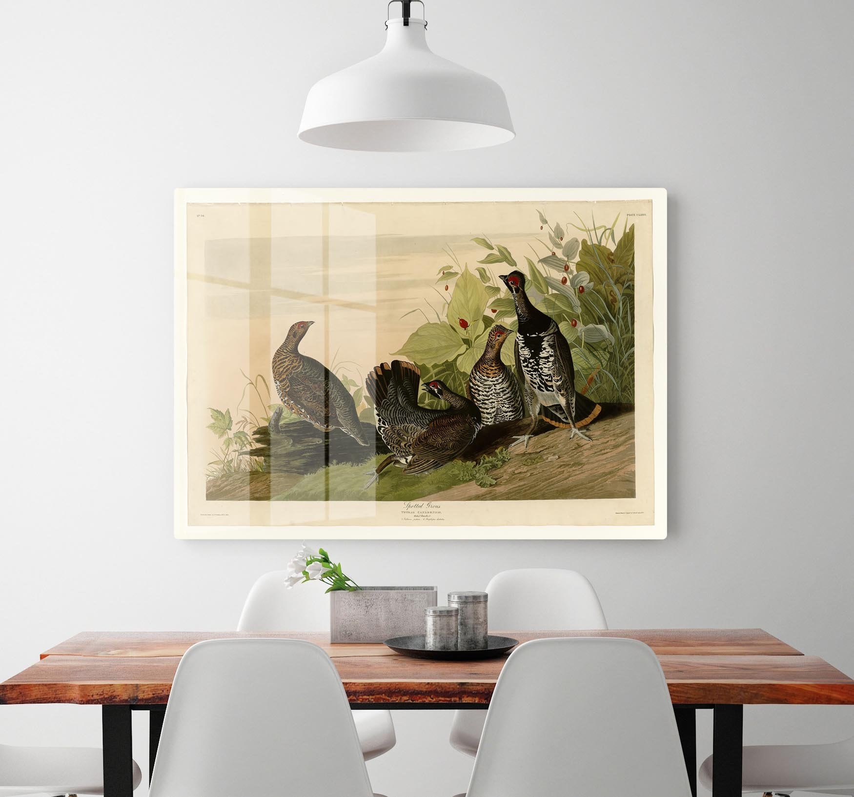 Spotted Grouse by Audubon HD Metal Print - Canvas Art Rocks - 2