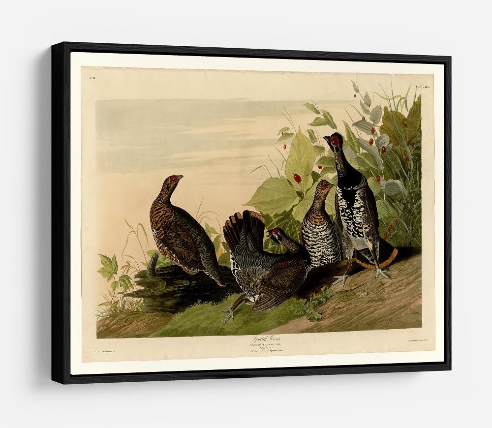 Spotted Grouse by Audubon HD Metal Print - Canvas Art Rocks - 6
