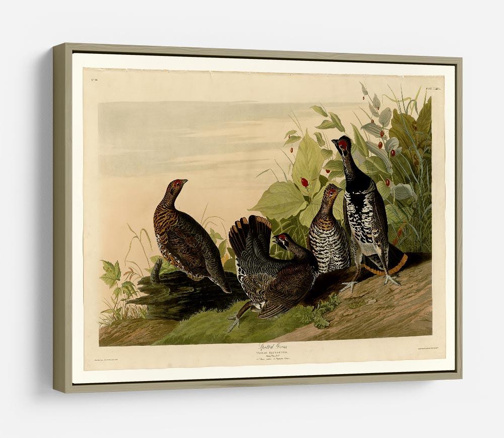 Spotted Grouse by Audubon HD Metal Print - Canvas Art Rocks - 8
