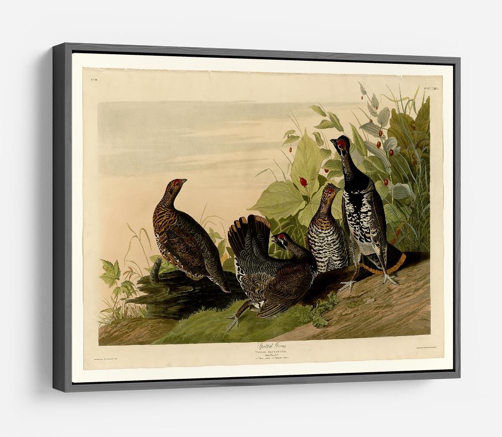 Spotted Grouse by Audubon HD Metal Print - Canvas Art Rocks - 9
