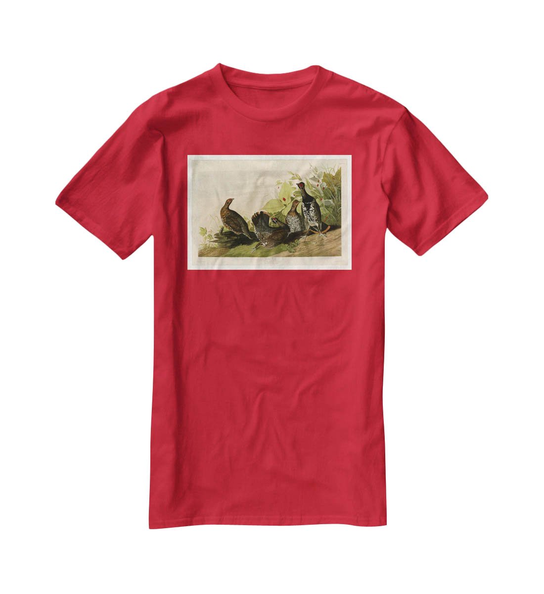 Spotted Grouse by Audubon T-Shirt - Canvas Art Rocks - 4
