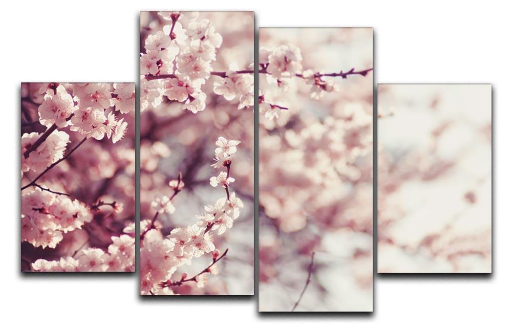 Spring Cherry blossoms 4 Split Panel Canvas  - Canvas Art Rocks - 1