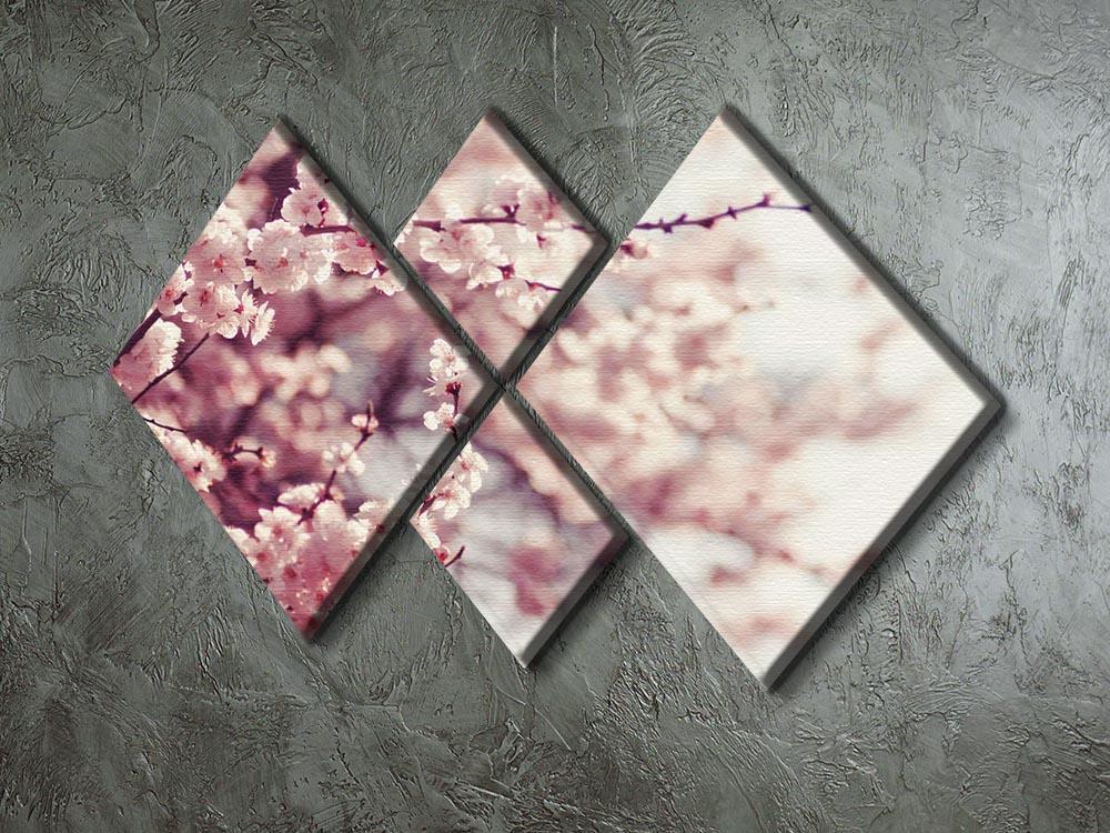 Spring Cherry blossoms 4 Square Multi Panel Canvas  - Canvas Art Rocks - 2