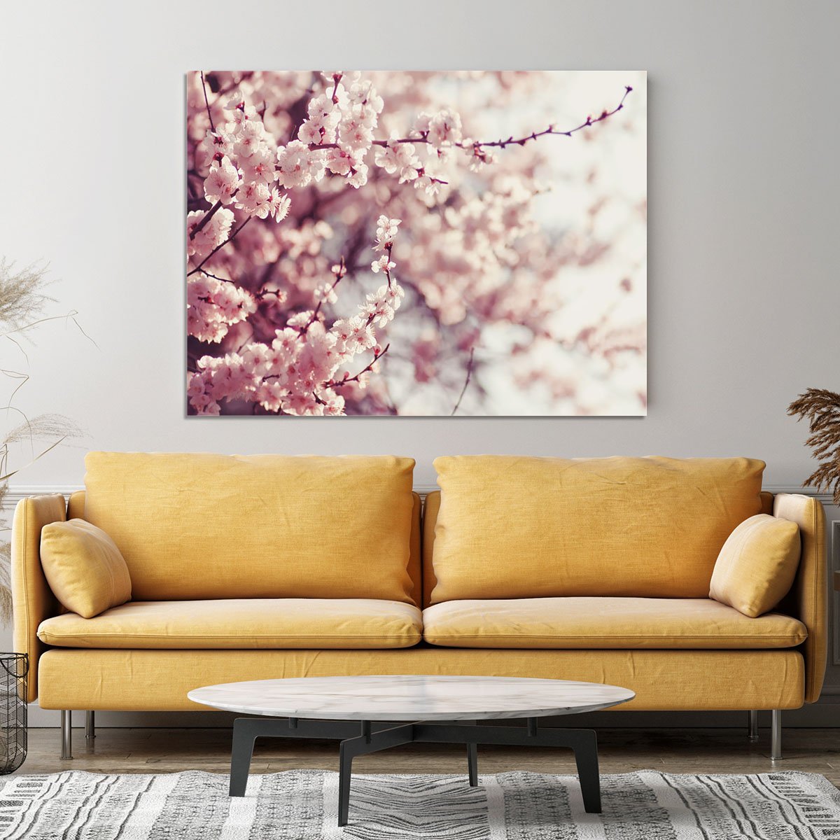 Spring Cherry blossoms Canvas Print or Poster