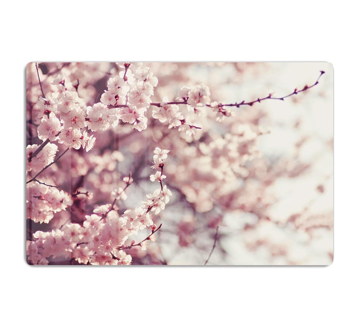 Spring Cherry blossoms HD Metal Print