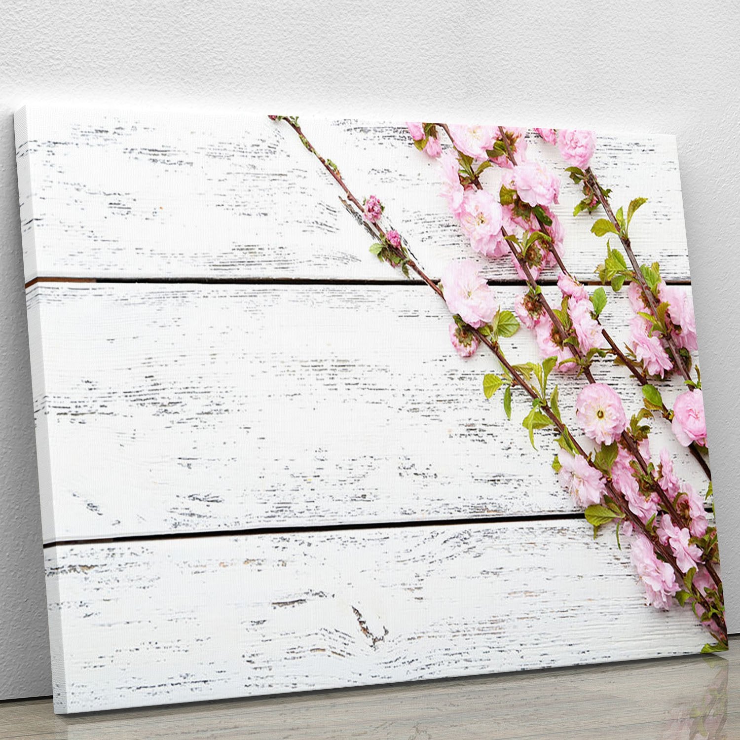Spring flowering branch on white wooden Canvas Print or Poster