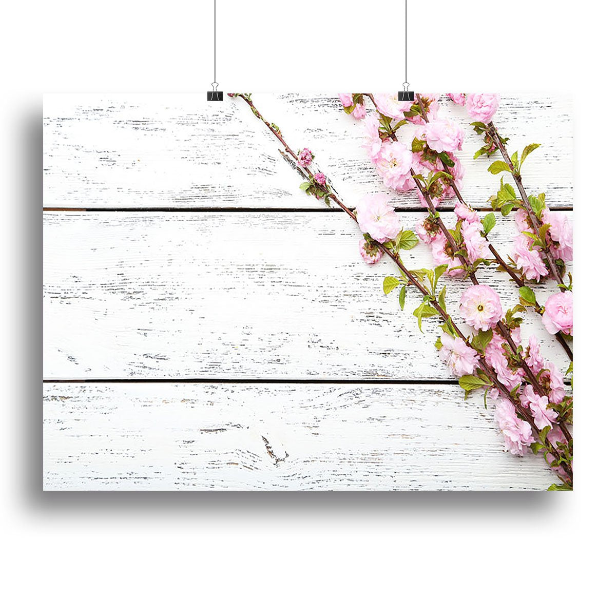 Spring flowering branch on white wooden Canvas Print or Poster