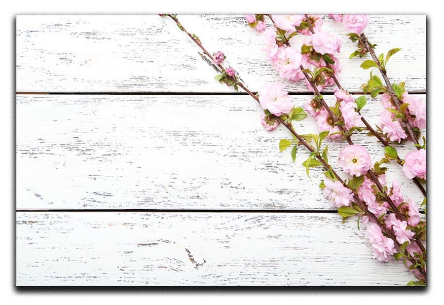 Spring flowering branch on white wooden Canvas Print or Poster  - Canvas Art Rocks - 1