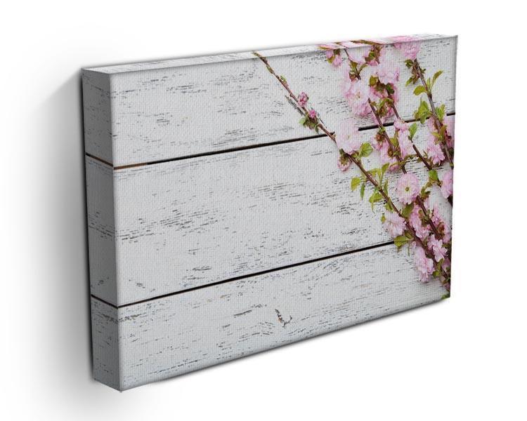 Spring flowering branch on white wooden Canvas Print or Poster - Canvas Art Rocks - 3