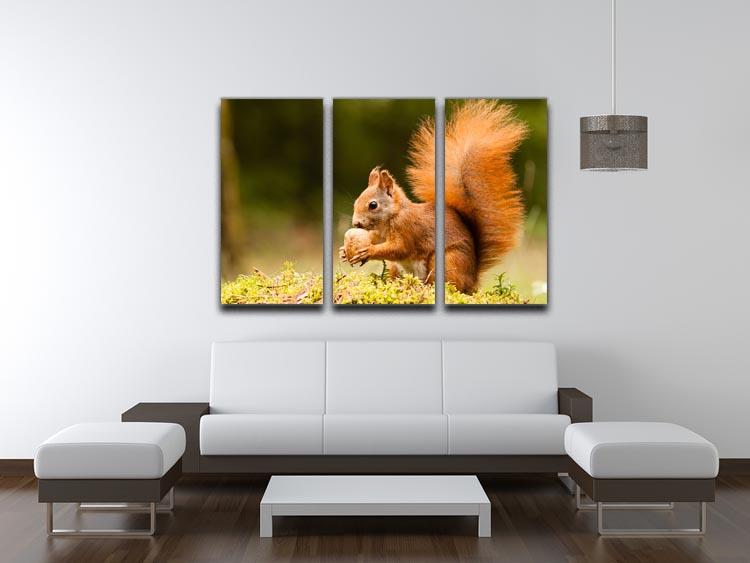 Squirrel with nut 3 Split Panel Canvas Print - Canvas Art Rocks - 3
