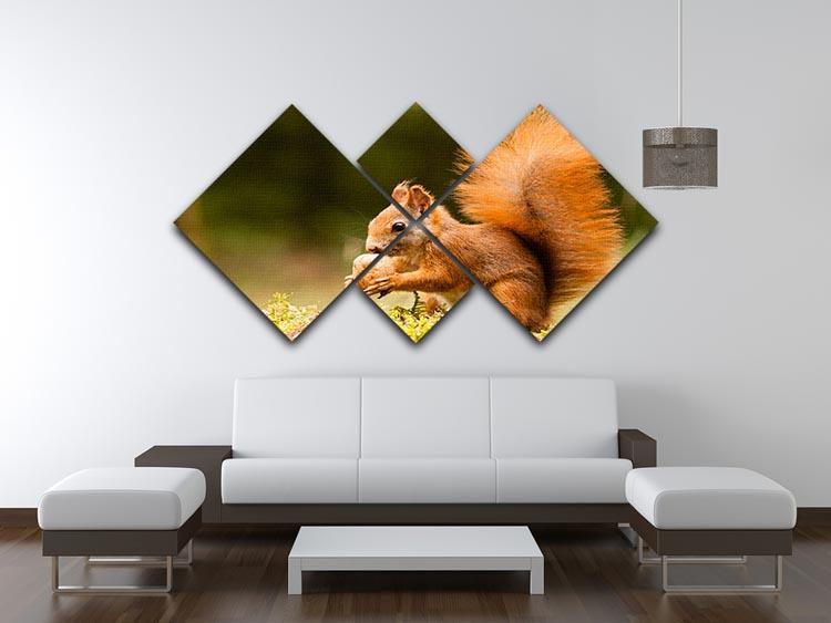 Squirrel with nut 4 Square Multi Panel Canvas - Canvas Art Rocks - 3