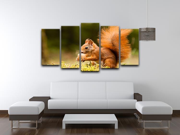 Squirrel with nut 5 Split Panel Canvas - Canvas Art Rocks - 3