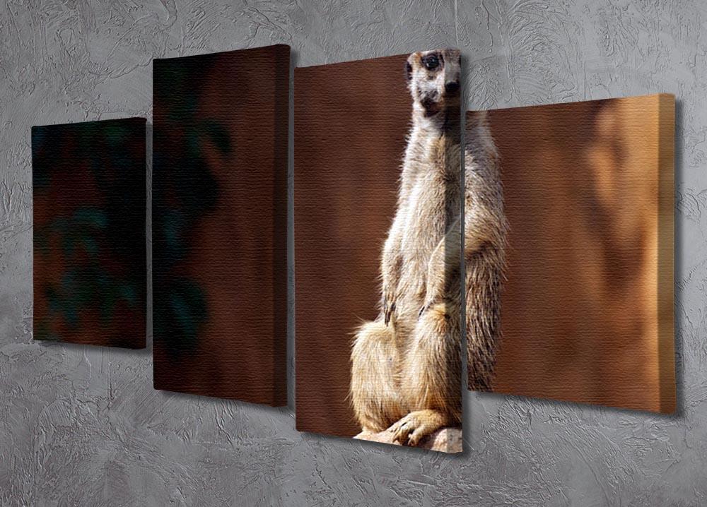 Standing African suricata meerkat 4 Split Panel Canvas - Canvas Art Rocks - 2