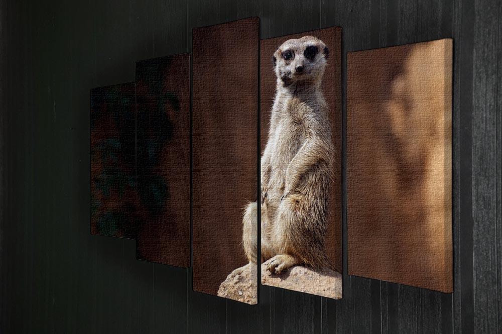 Standing African suricata meerkat 5 Split Panel Canvas - Canvas Art Rocks - 2