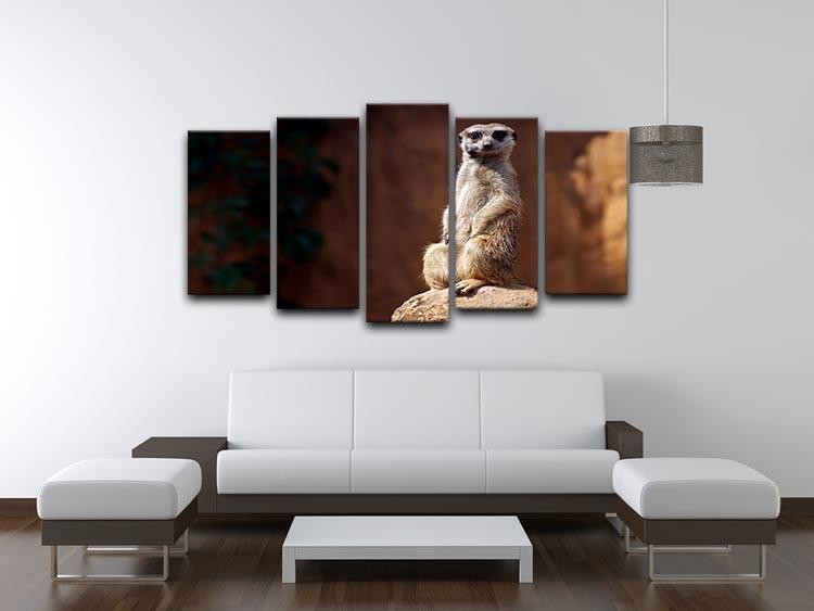 Standing African suricata meerkat 5 Split Panel Canvas - Canvas Art Rocks - 3