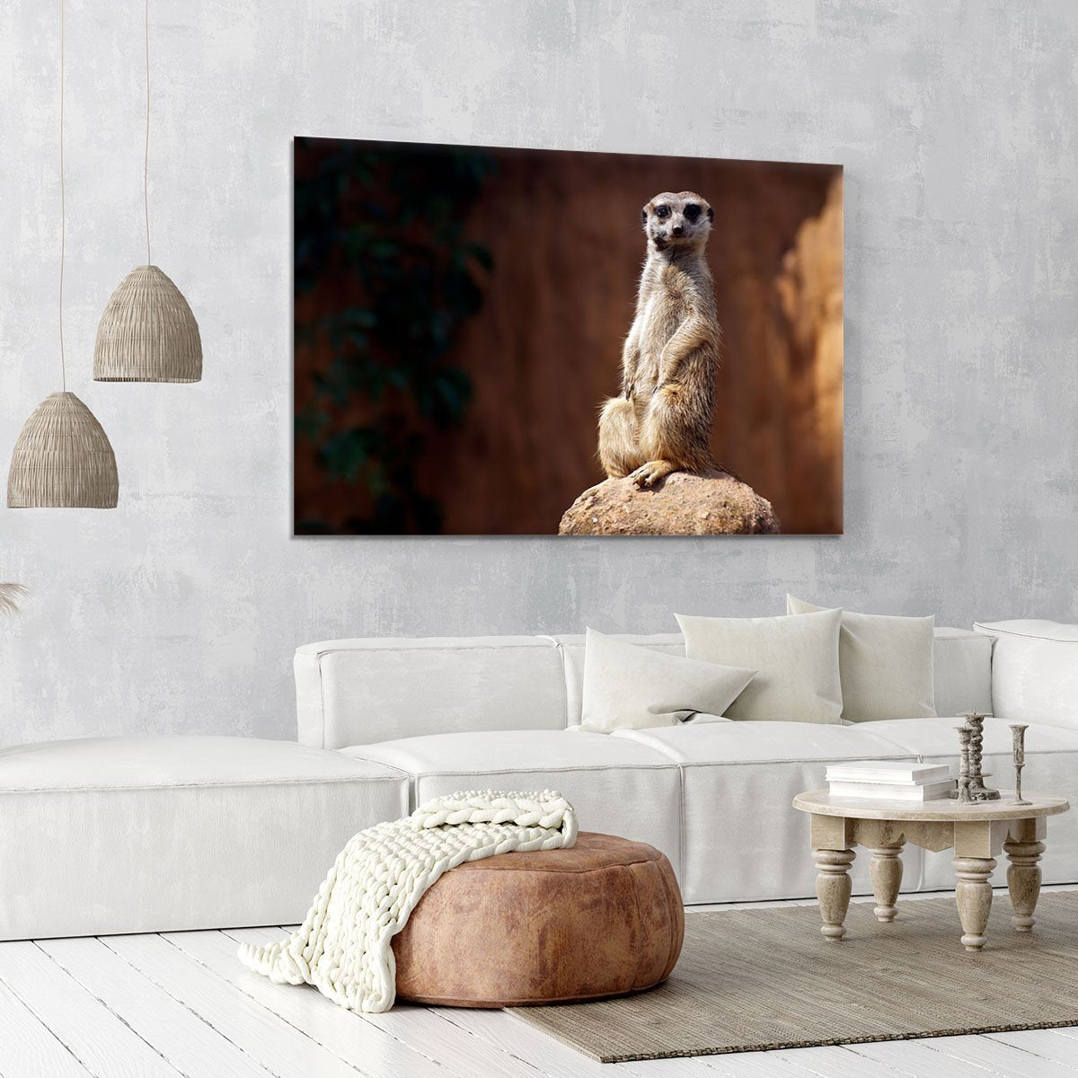 Standing African suricata meerkat Canvas Print or Poster