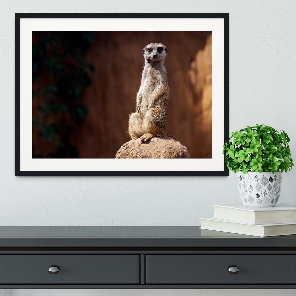 Standing African suricata meerkat Framed Print - Canvas Art Rocks - 1