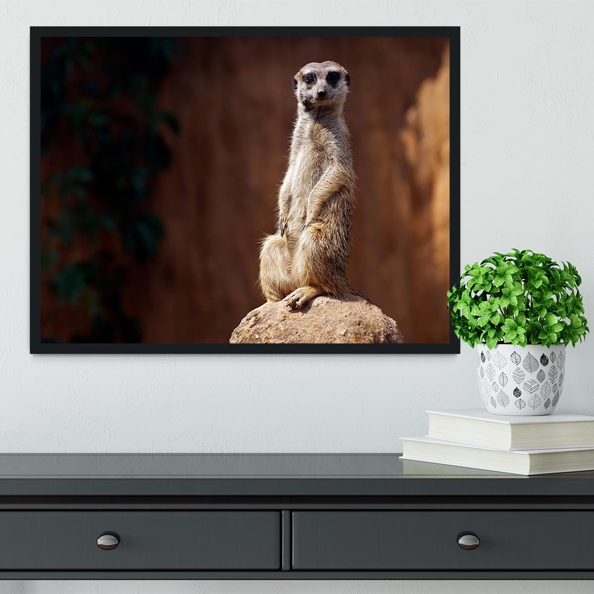 Standing African suricata meerkat Framed Print - Canvas Art Rocks - 2