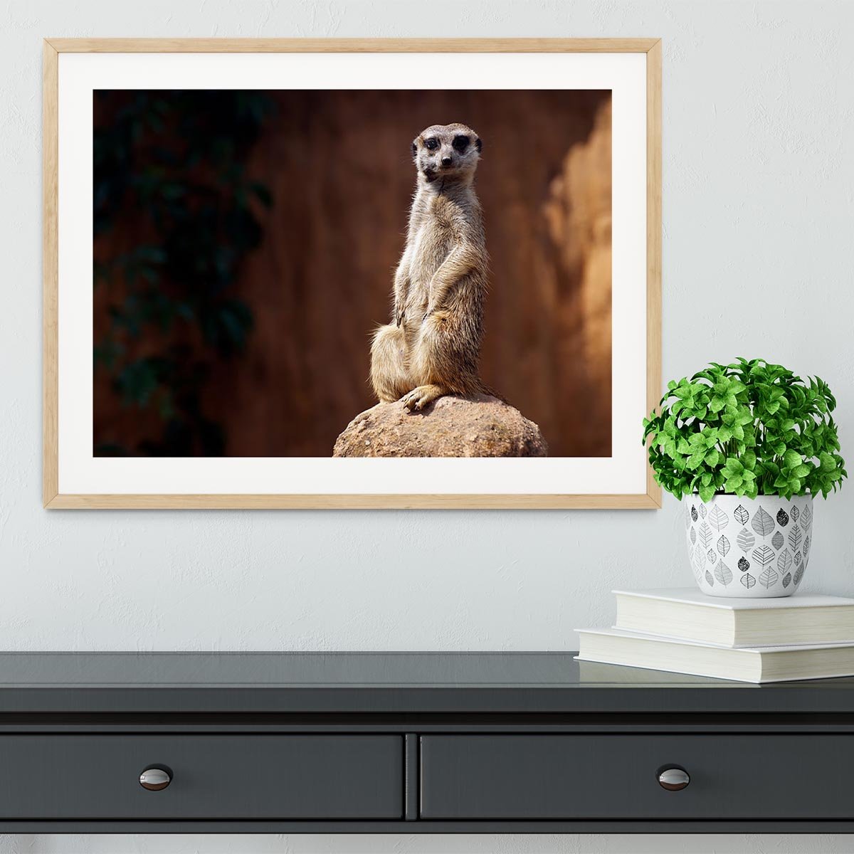 Standing African suricata meerkat Framed Print - Canvas Art Rocks - 3