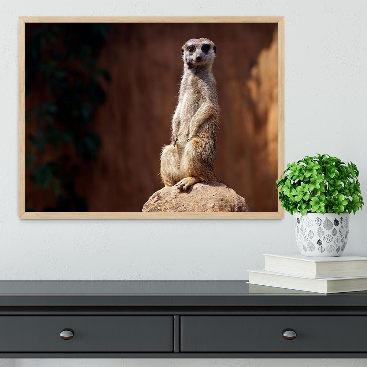 Standing African suricata meerkat Framed Print - Canvas Art Rocks - 4