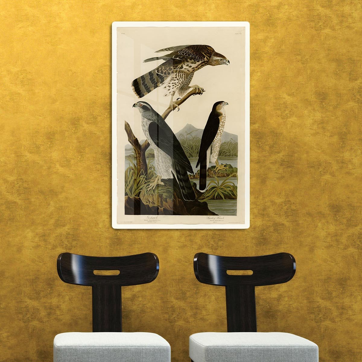 Stanley Hawk by Audubon HD Metal Print - Canvas Art Rocks - 2