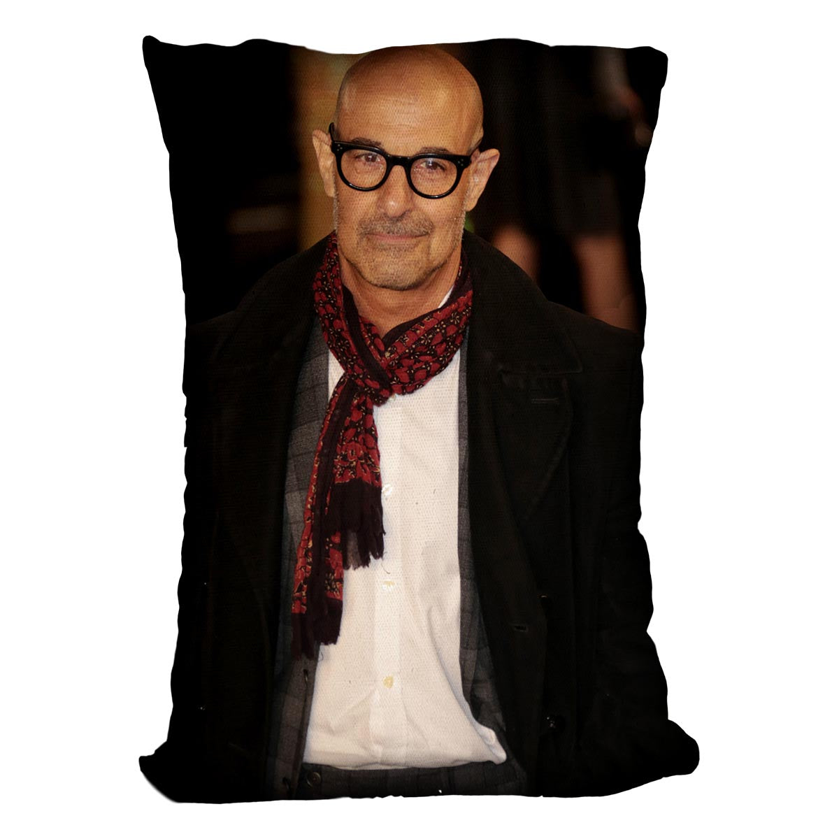 Stanley Tucci Cushion