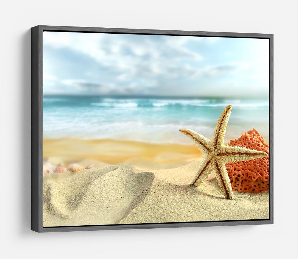 Starfish HD Metal Print - Canvas Art Rocks - 9