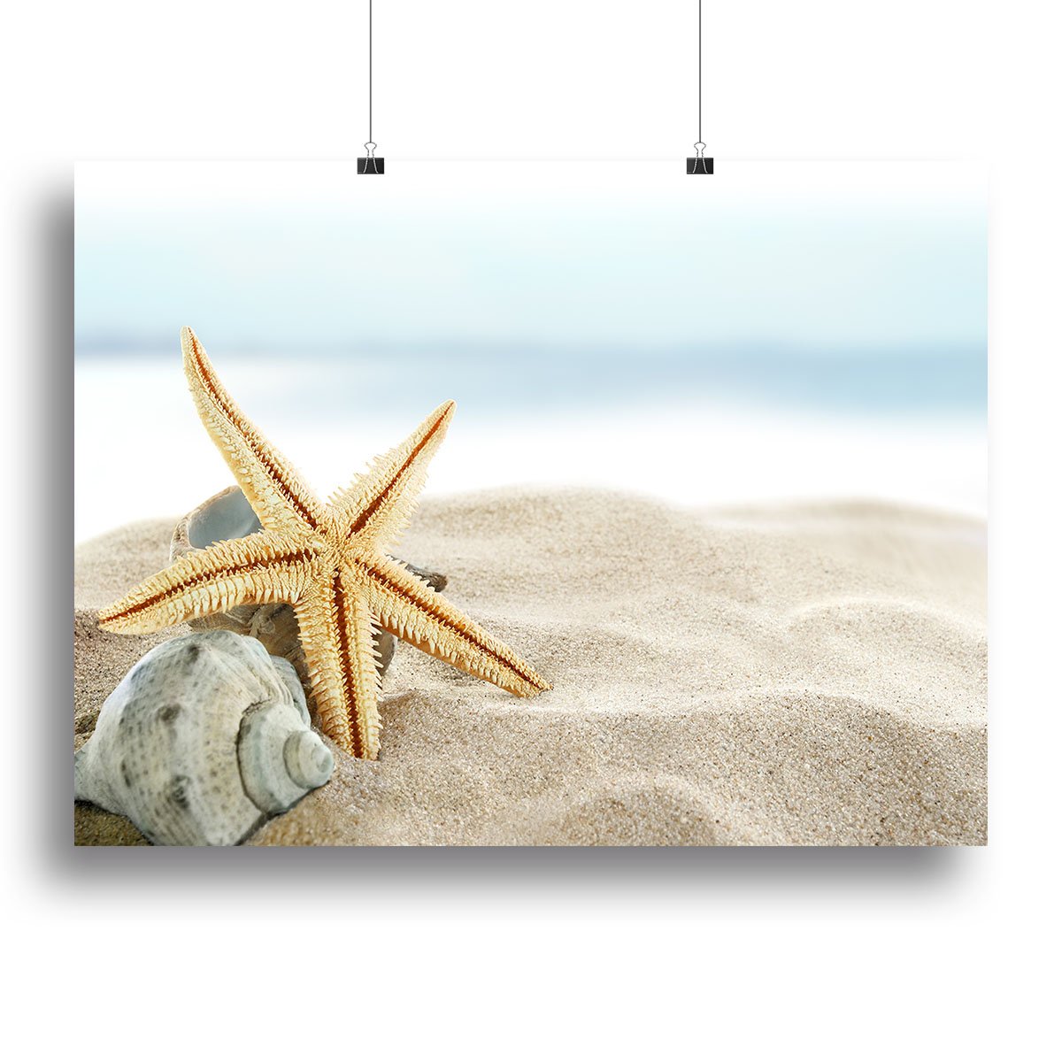 Starfish on the Beach Canvas Print or Poster