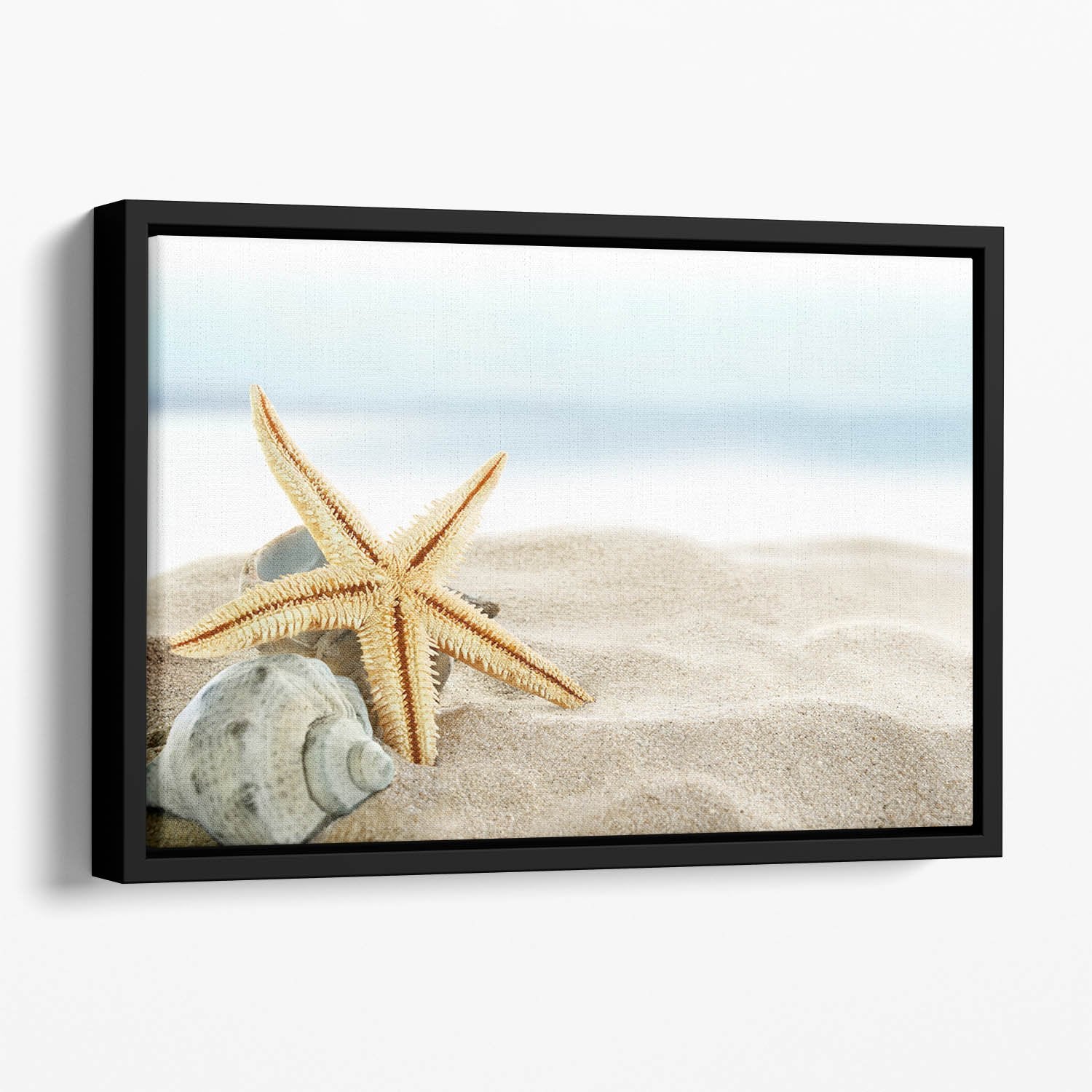 Starfish on the Beach Floating Framed Canvas
