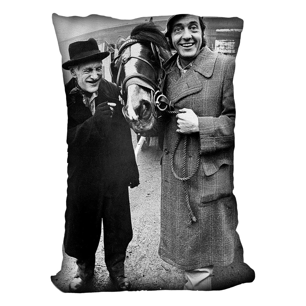 Steptoe and Son Cushion